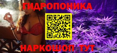 альфа пвп Тара