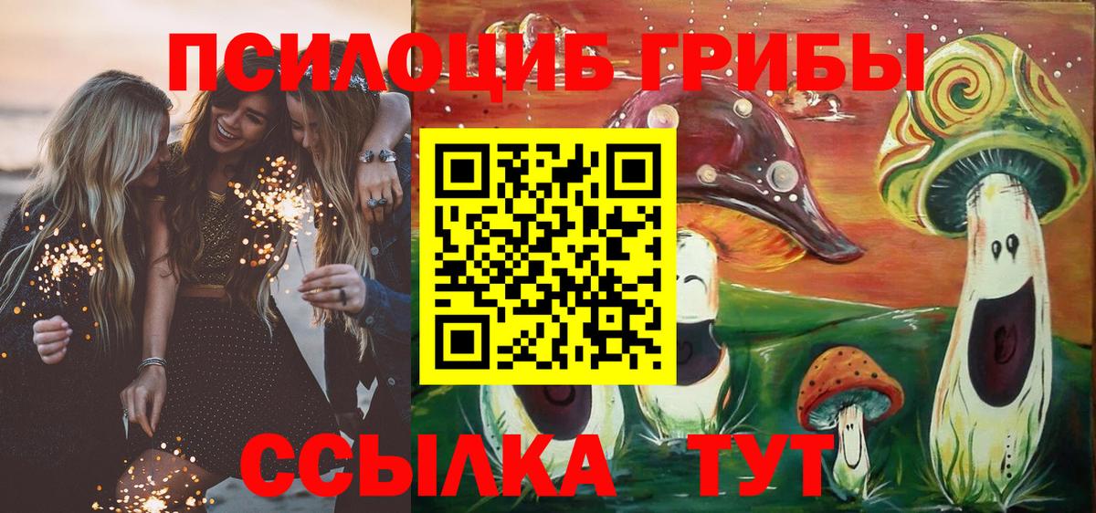 Галлюциногенные грибы Cubensis Орехово-Зуево