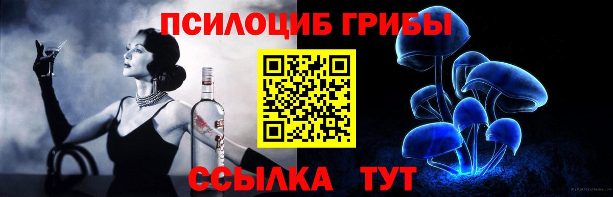 Орехово-Зуево  Галлюциногенные грибы Psilocybe  Псилоцибиновые грибы Cubensis  Вход с VPN 
